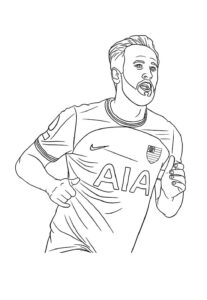 Desenho de Flamengo Desenho Colorir Imprimir 10