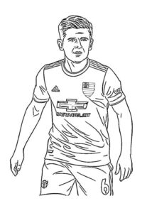 Desenho de Flamengo Desenho Colorir Imprimir 11