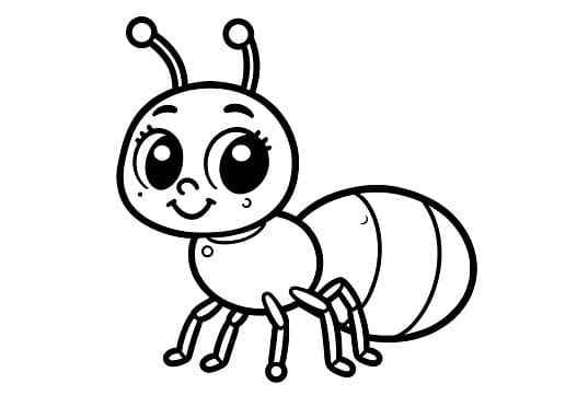 Desenho de Formiga Desenho Colorir Imprimir 08