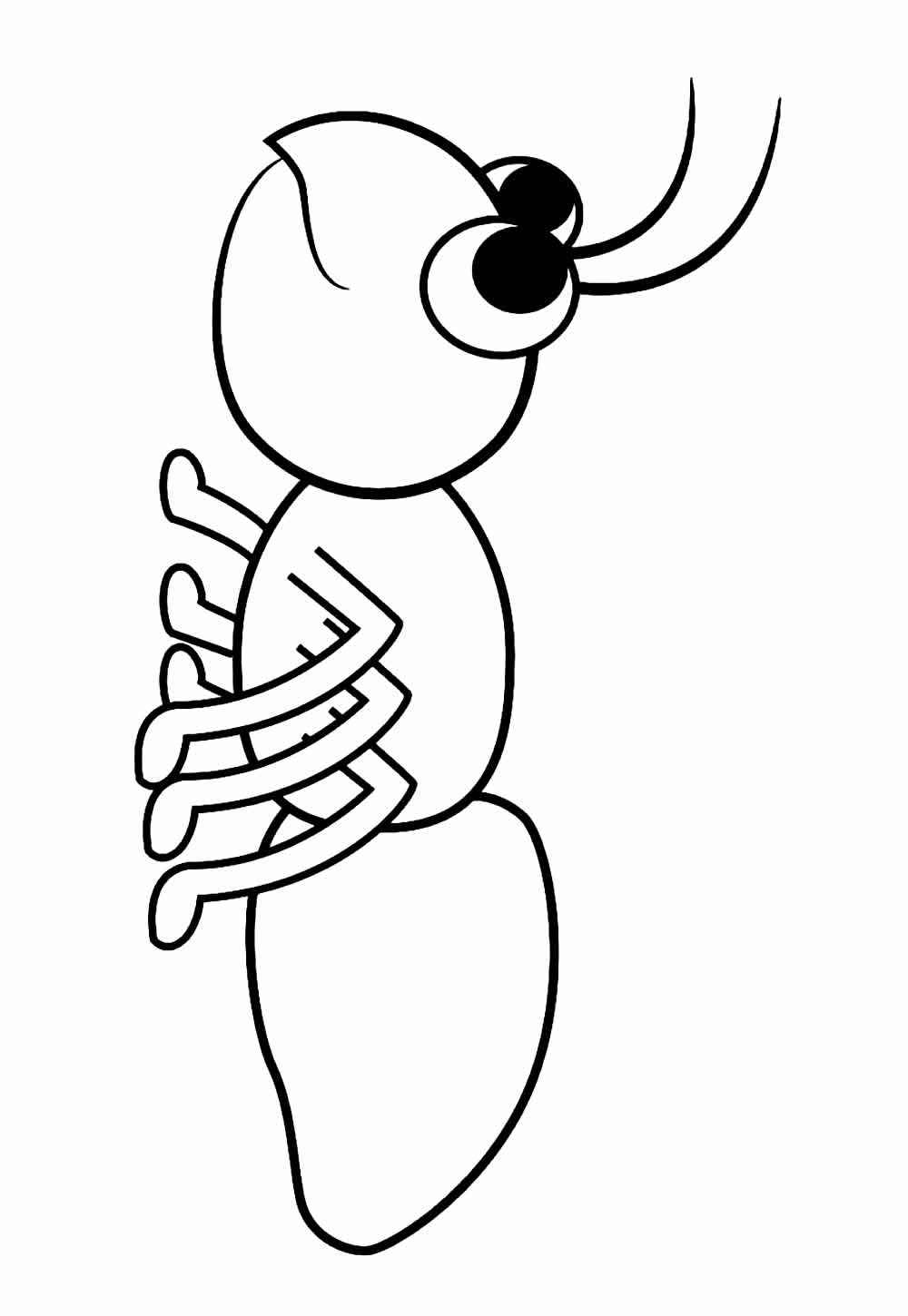 Desenho de Formiga Desenho Colorir Imprimir 16
