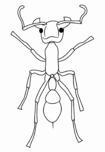 Desenho de Formiga Desenho Colorir Imprimir 20