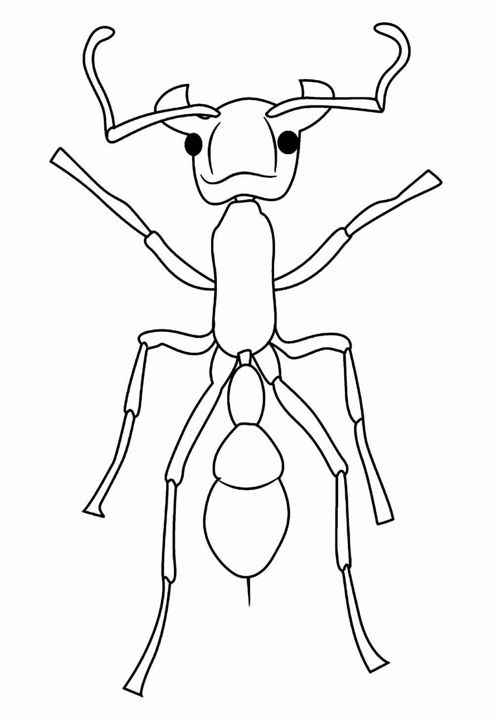 Desenho de Formiga Desenho Colorir Imprimir 20