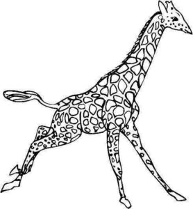 Desenho de Girafa Desenho Colorir Imprimir 20