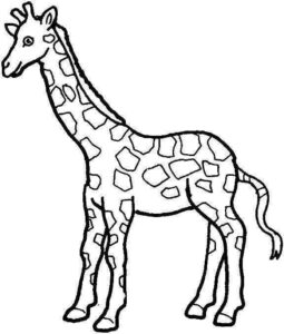 Desenho de Girafa Desenho Colorir Imprimir 29