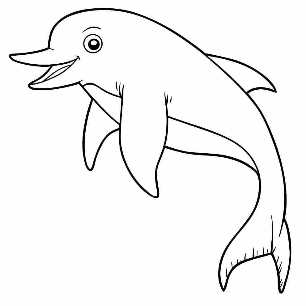 Desenho de Golfinho Desenho Colorir Imprimir 04