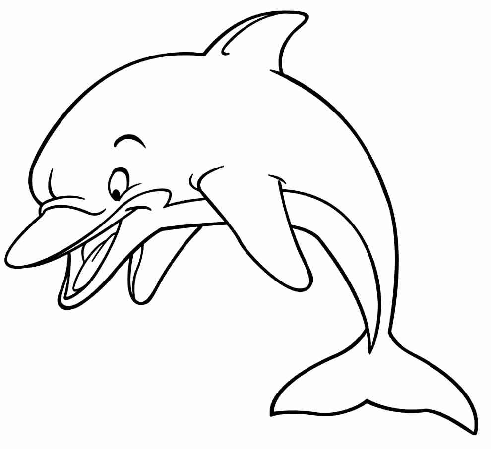 Desenho de Golfinho Desenho Colorir Imprimir 12