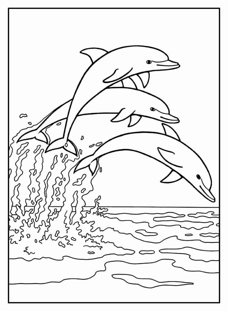 Desenho de Golfinho Desenho Colorir Imprimir 18