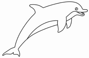 Desenho de Golfinho Desenho Colorir Imprimir 20