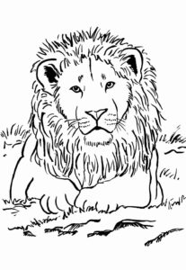 Desenho de Leão Desenho Colorir Imprimir 06