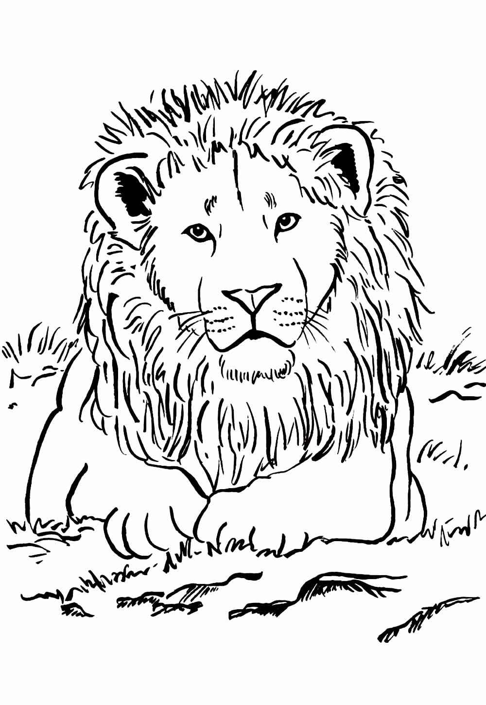 Desenho de Leão Desenho Colorir Imprimir 06