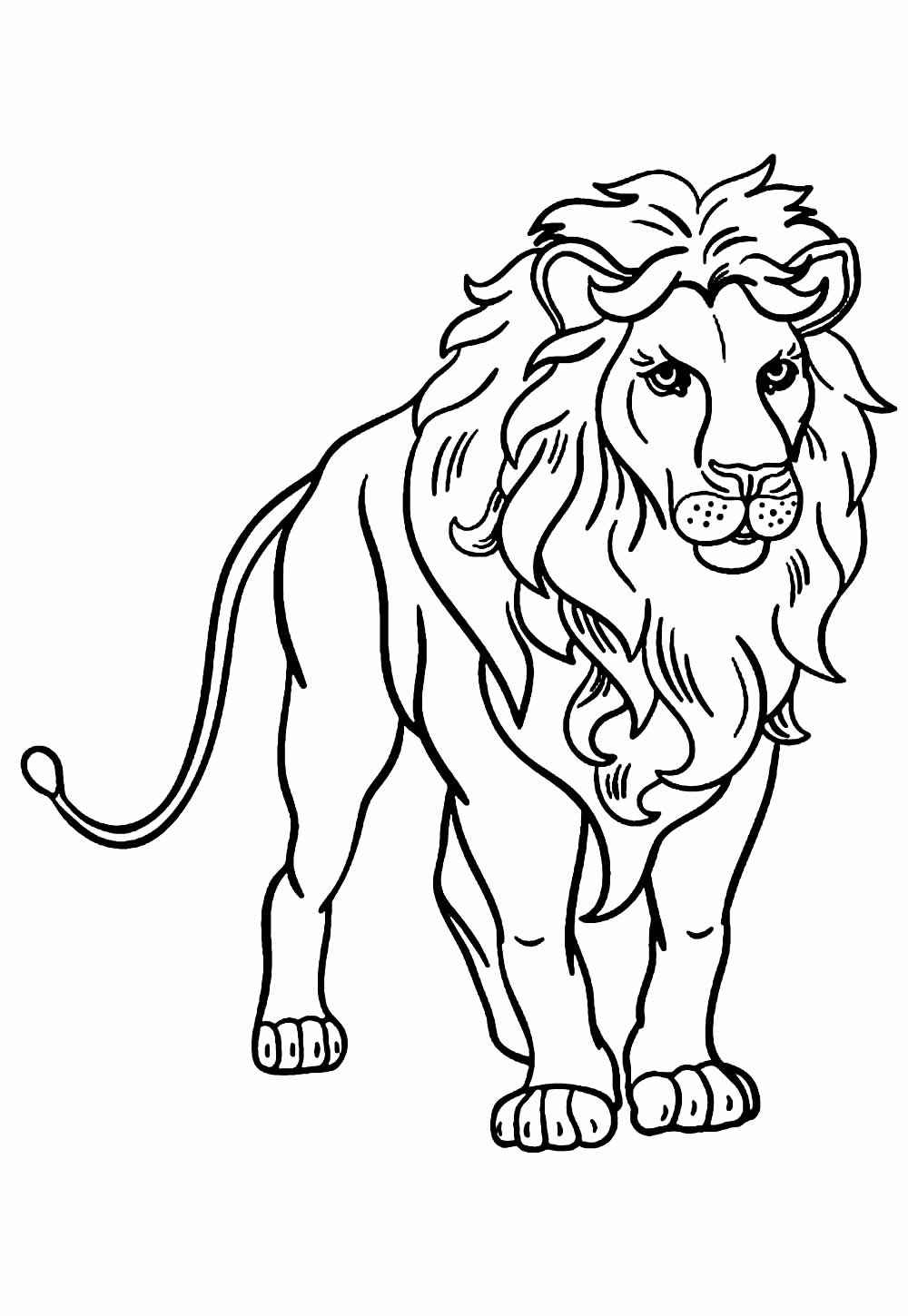 Desenho de Leão Desenho Colorir Imprimir 20