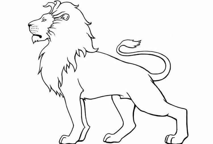 Desenho de Leão Desenho Colorir Imprimir 22
