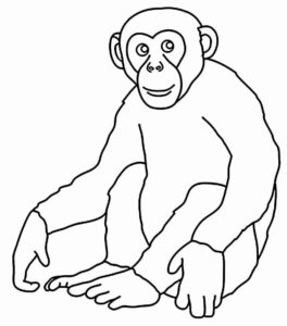 Desenho de Macacos Desenho Colorir Imprimir 043