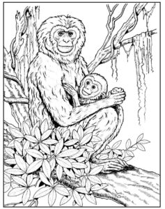 Desenho de Macacos Desenho Colorir Imprimir 056