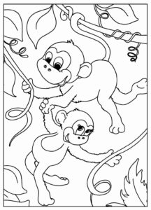 Desenho de Macacos Desenho Colorir Imprimir 059