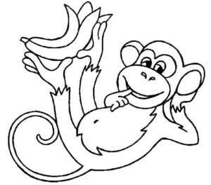Desenho de Macacos Desenho Colorir Imprimir 064