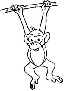 Desenho de Macacos Desenho Colorir Imprimir 067