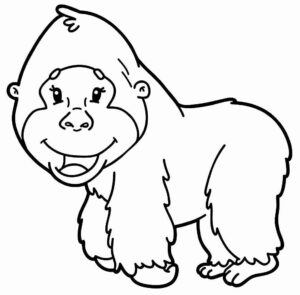 Desenho de Macacos Desenho Colorir Imprimir 080