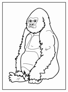 Desenho de Macacos Desenho Colorir Imprimir 082