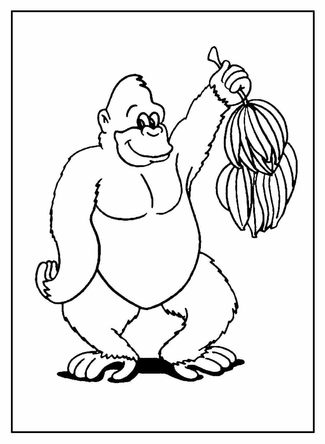 Desenho de Macacos Desenho Colorir Imprimir 086