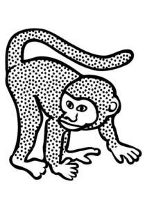 Desenho de Macacos Desenho Colorir Imprimir 105
