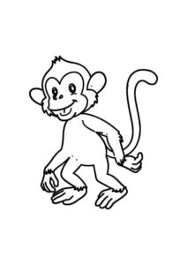 Desenho de Macacos Desenho Colorir Imprimir 108