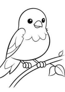 Desenho de Passarros Desenho Colorir Imprimir 03