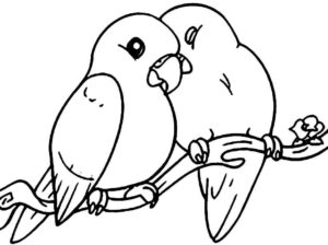 Desenho de Passarros Desenho Colorir Imprimir 41