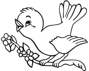 Desenho de Passarros Desenho Colorir Imprimir 45