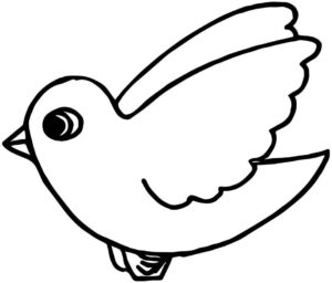 Desenho de Passarros Desenho Colorir Imprimir 47