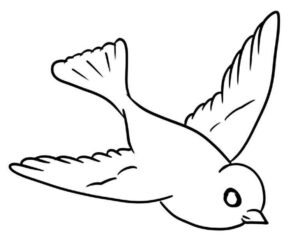Desenho de Passarros Desenho Colorir Imprimir 48