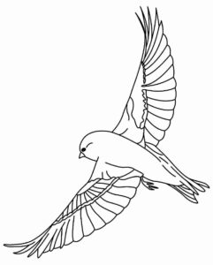 Desenho de Passarros Desenho Colorir Imprimir 49