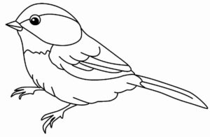 Desenho de Passarros Desenho Colorir Imprimir 55