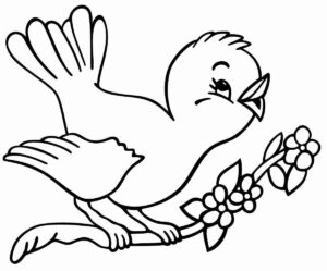 Desenho de Passarros Desenho Colorir Imprimir 57
