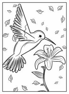 Desenho de Passarros Desenho Colorir Imprimir 60