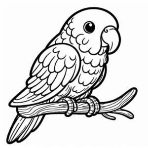 Desenho de Passarros Desenho Colorir Imprimir 72