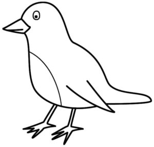 Desenho de Passarros Desenho Colorir Imprimir 74