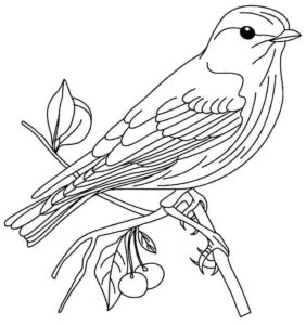 Desenho de Passarros Desenho Colorir Imprimir 76