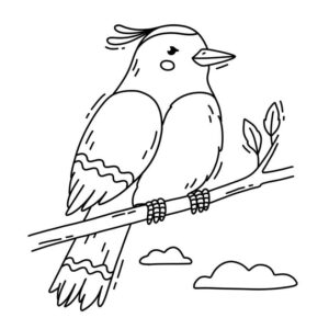 Desenho de Passarros Desenho Colorir Imprimir 84