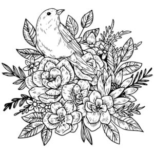Desenho de Passarros Desenho Colorir Imprimir 89
