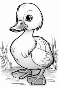 Desenho de Patinho Desenho Colorir Imprimir 07