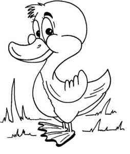 Desenho de Patinho Desenho Colorir Imprimir 15