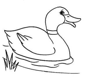 Desenho de Patinho Desenho Colorir Imprimir 17