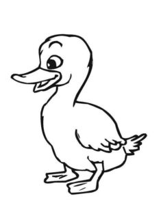 Desenho de Patinho Desenho Colorir Imprimir 19