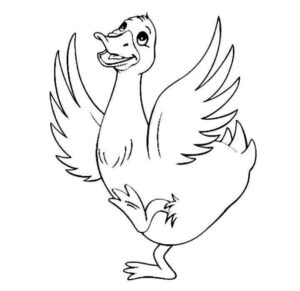 Desenho de Patinho Desenho Colorir Imprimir 20