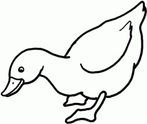 Desenho de Patinho Desenho Colorir Imprimir 22