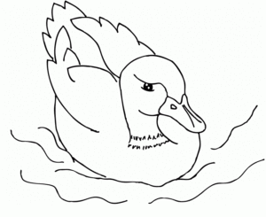 Desenho de Patinho Desenho Colorir Imprimir 23