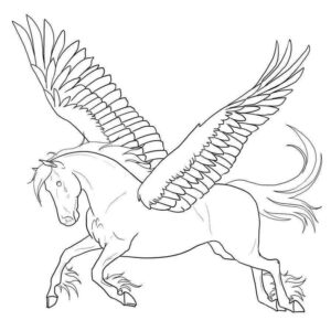 Desenho de Pegasus Desenho Colorir Imprimir 13