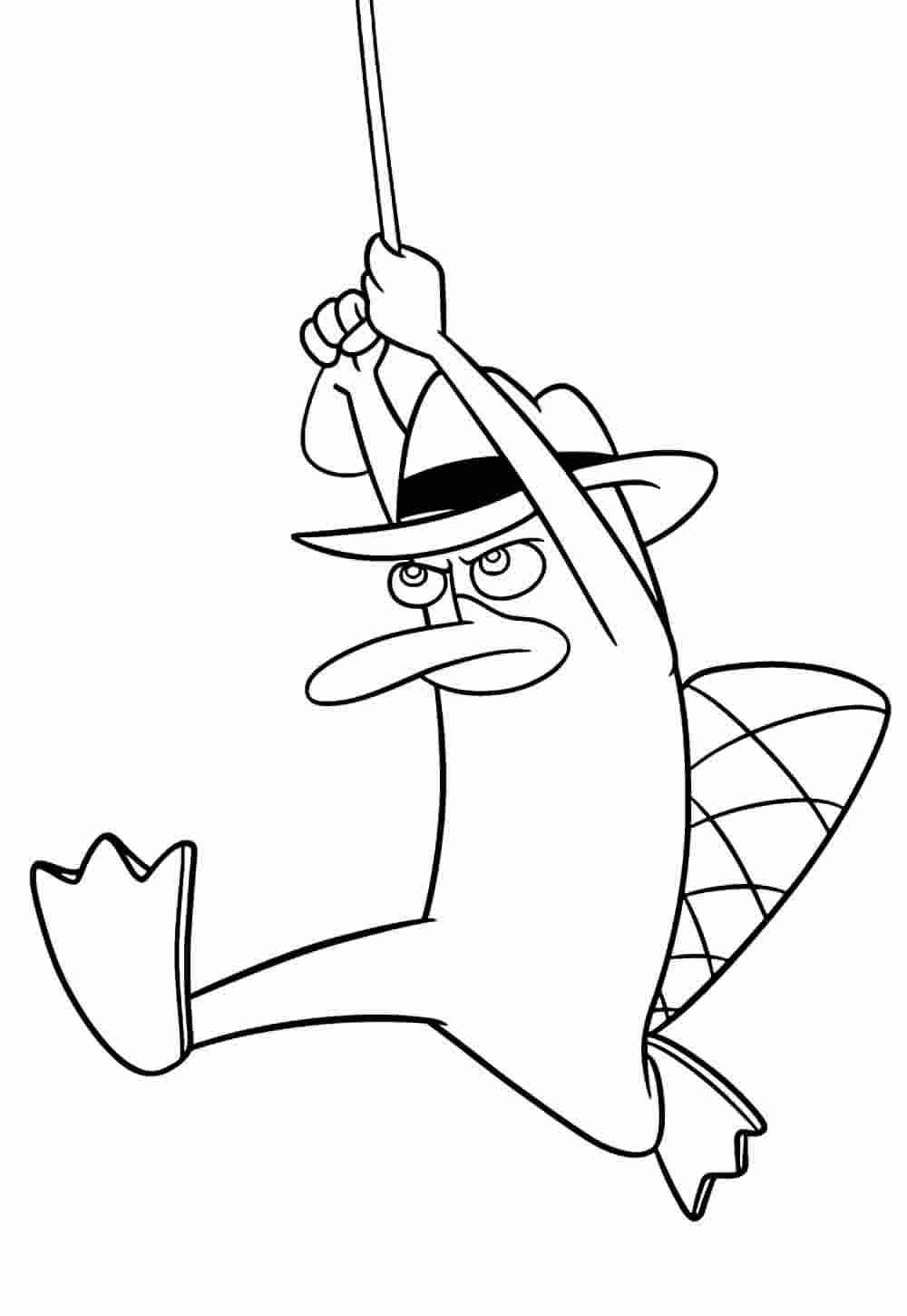 Desenho de Phineas E Ferb Desenho Colorir Imprimir 22