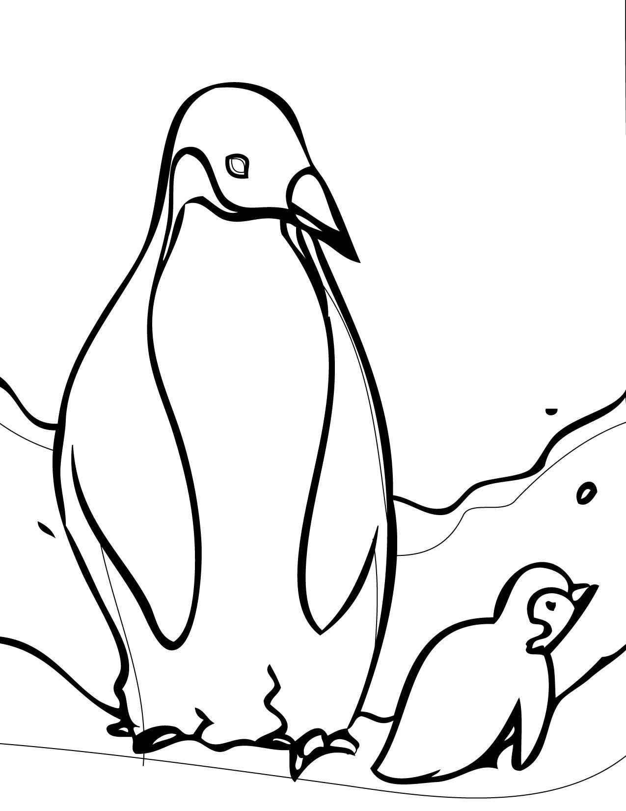 Desenho de Pinguim Desenho Colorir Imprimir 25